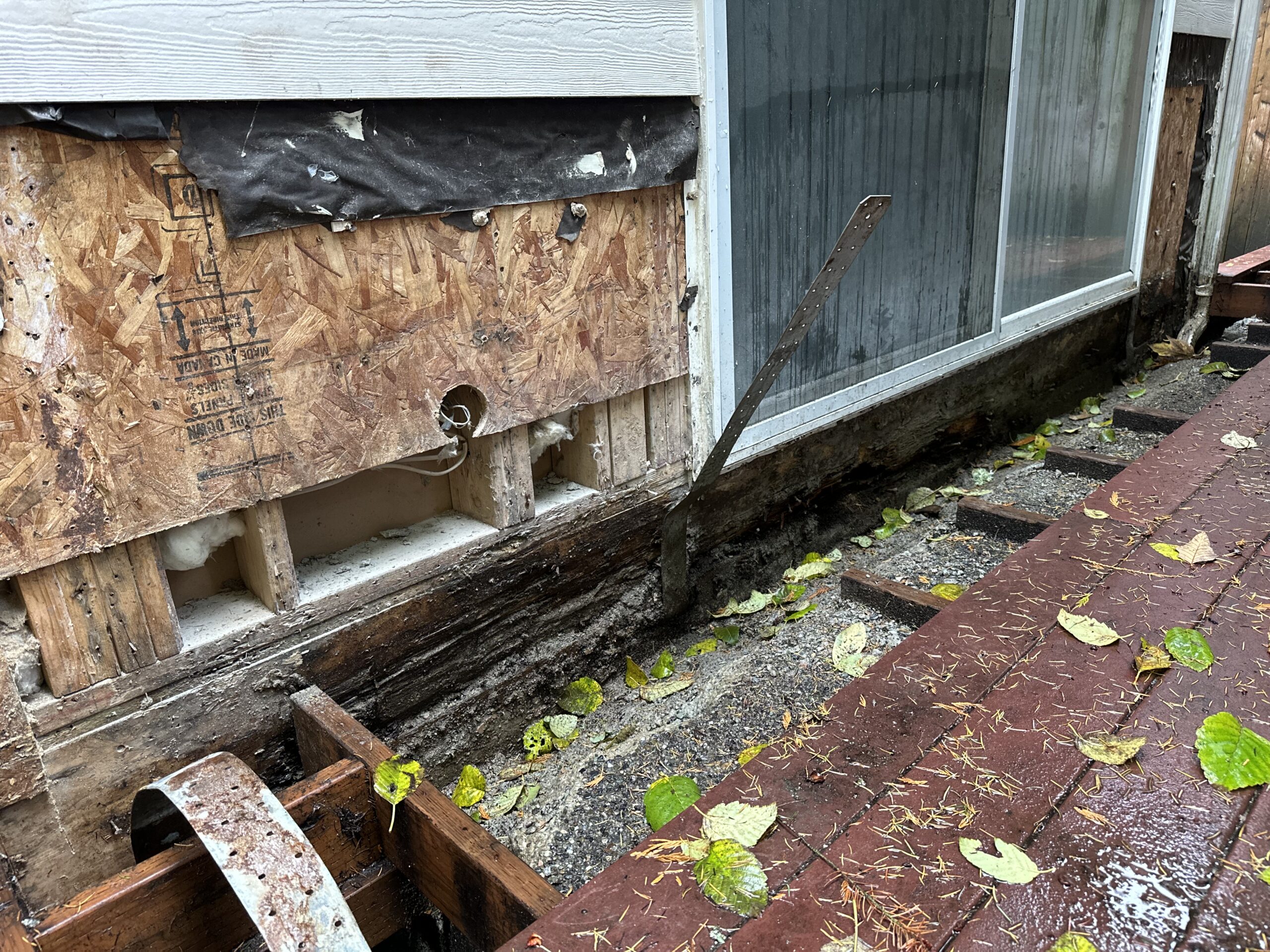 BC2274F9-BA49-41D1-A84D-81DED83DC7FE