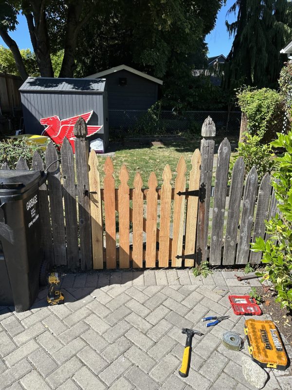 C1FAD23E-8E99-4E6D-A008-235AF40DB6D9-scaled